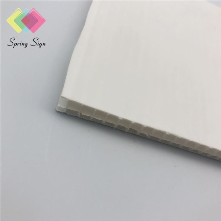 3mm Thick Corrugated Cardboard Advertising Sheet PP Sheet China